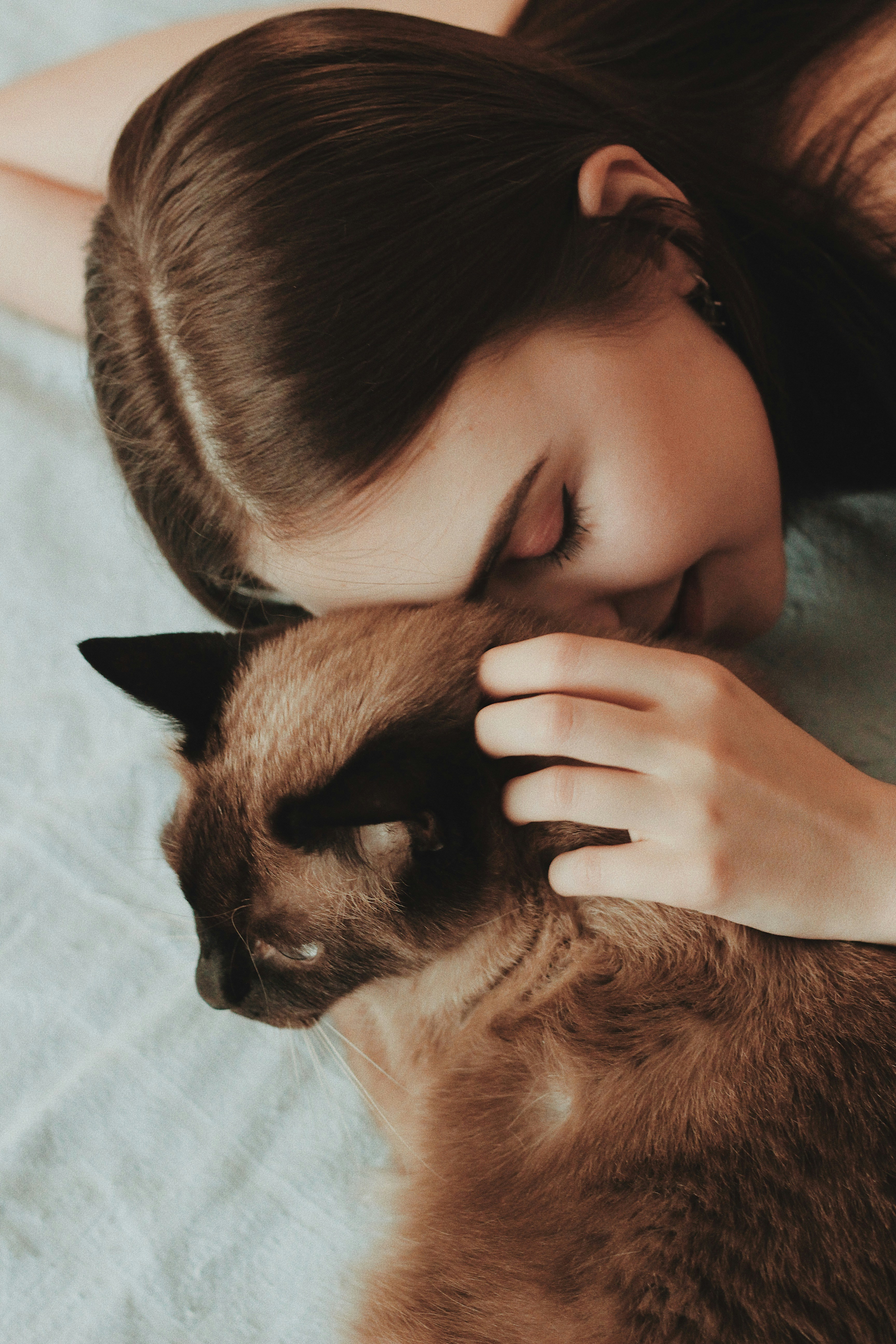 Ragazza che abbraccia un gatto Siamese sul letto — le razze di gatto più affettuose